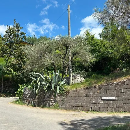 Villa Stunning 4 Bedroom Near Barga Castelvecchio Pascoli